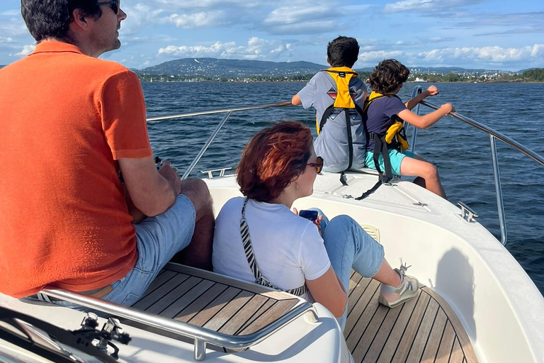 Oslo Fjord Exploration: Private Day Trip with Island Landing