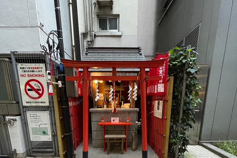 Tsukiji Fish Market+Lunch +Asakusa Tea +Akiba Maid Cafe tour