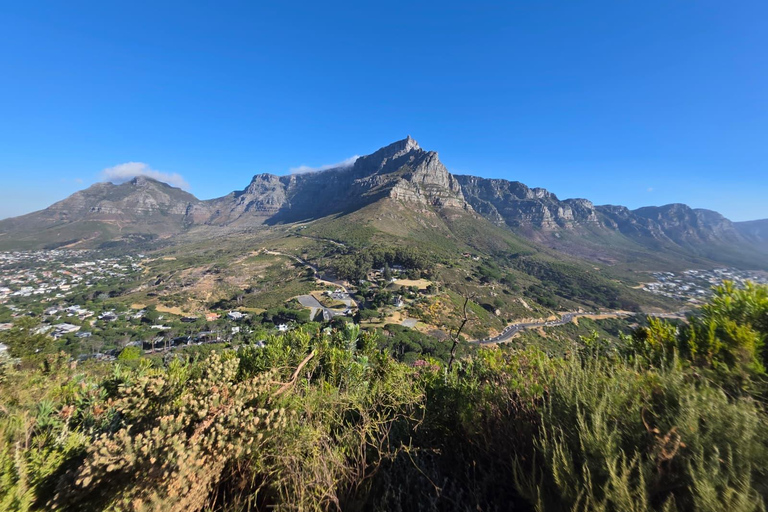 Cape Town: Lion’s Head Sunset – A Story-Led Local Experience