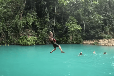 Oslob: Whale Sharks, Tumalog Falls & Sumilon Trio Adventure