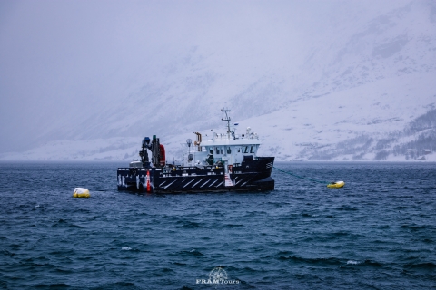 Tromso: Wyprawa z przewodnikiem po fiordach i wyspa Kvaløya z lunchem