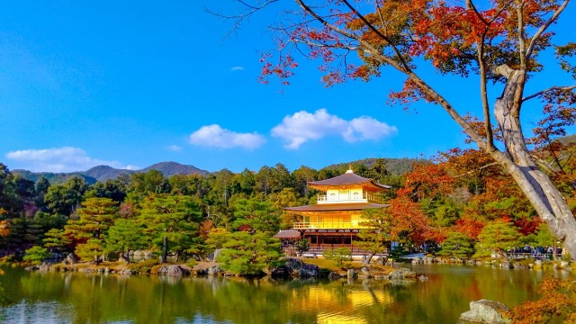 Visit Kyoto Private Customizable Day Trip by Car in Japan