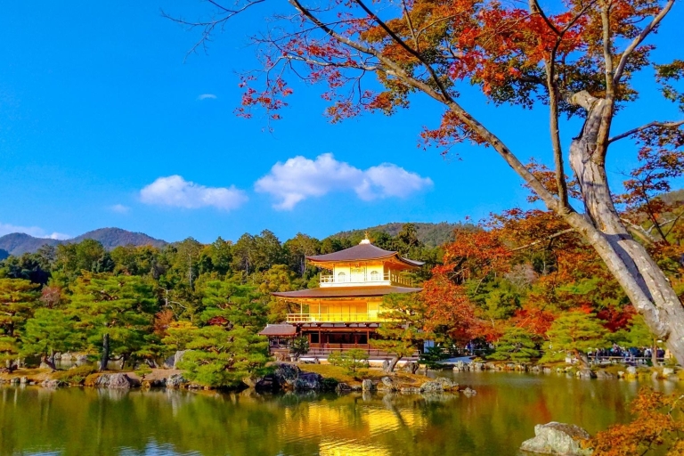 Kyoto: Privater individueller Tagesausflug mit dem Auto