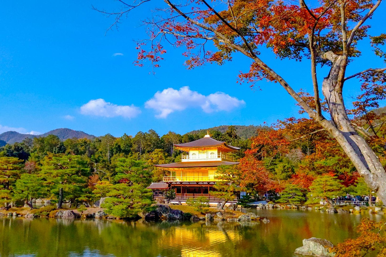 Kyoto: Private Customizable Day Trip by Car