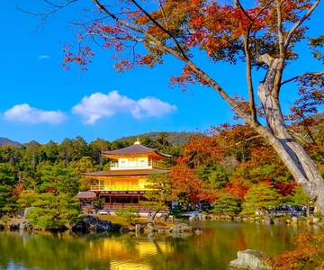Kyoto: Privat, skreddersydd dagstur med bil