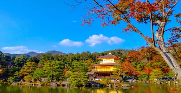 Kyoto: Private Customizable Day Trip