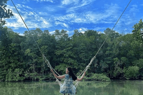 Mangrove Day Tour - Bintan Fireflies Night Tour - Bintan