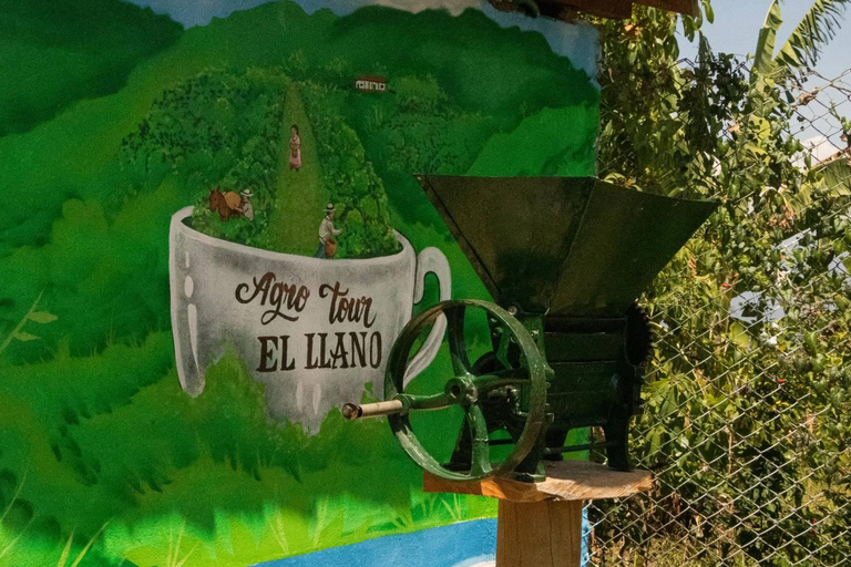 Medellin: Coffee and fruit tour