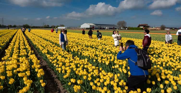 Amsterdam: Tulip Farm Visit, Keukenhof, and Windmill Cruise photo 10