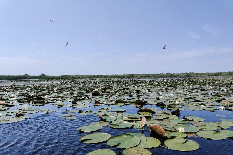 Bucarest: tour del delta del Danubio di 2 giorni con tour in barcaBucarest: tour al delta del Danubio di 2 giorni con tour in barca