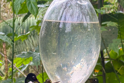 Quito: 2-Day Cloud Forest Experience