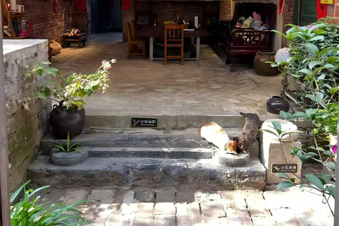 Guilin: Countryside Cycling 1-day Tour with Cooking Class