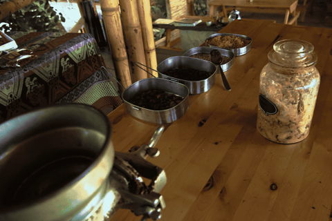 Minca: Coffee Farm, Jungle Hike & Chocolate Workshop Minca: Full Day Minca Tour with Jungle Joe