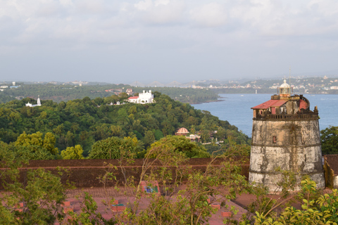Da Baga/Calangute: tour di un&#039;intera giornata nel sud di Goa