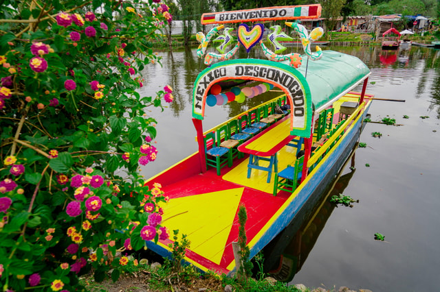 Mexico City: Xochimilco, Coyoacan & UNAM Tour