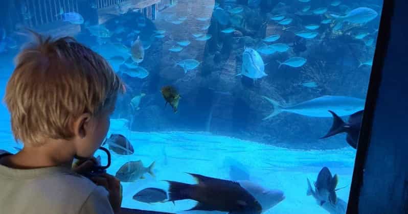 Florida Keys: Aquarium Encounters Day Tour with Lunch