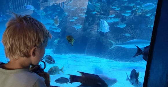 Florida Keys: Aquarium Encounters Day Tour with Lunch
