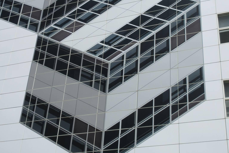 The Hague: a guided tour in French, mixing Street Art and History The Hague: Private Guided Tour in French, Combining Street Art and History