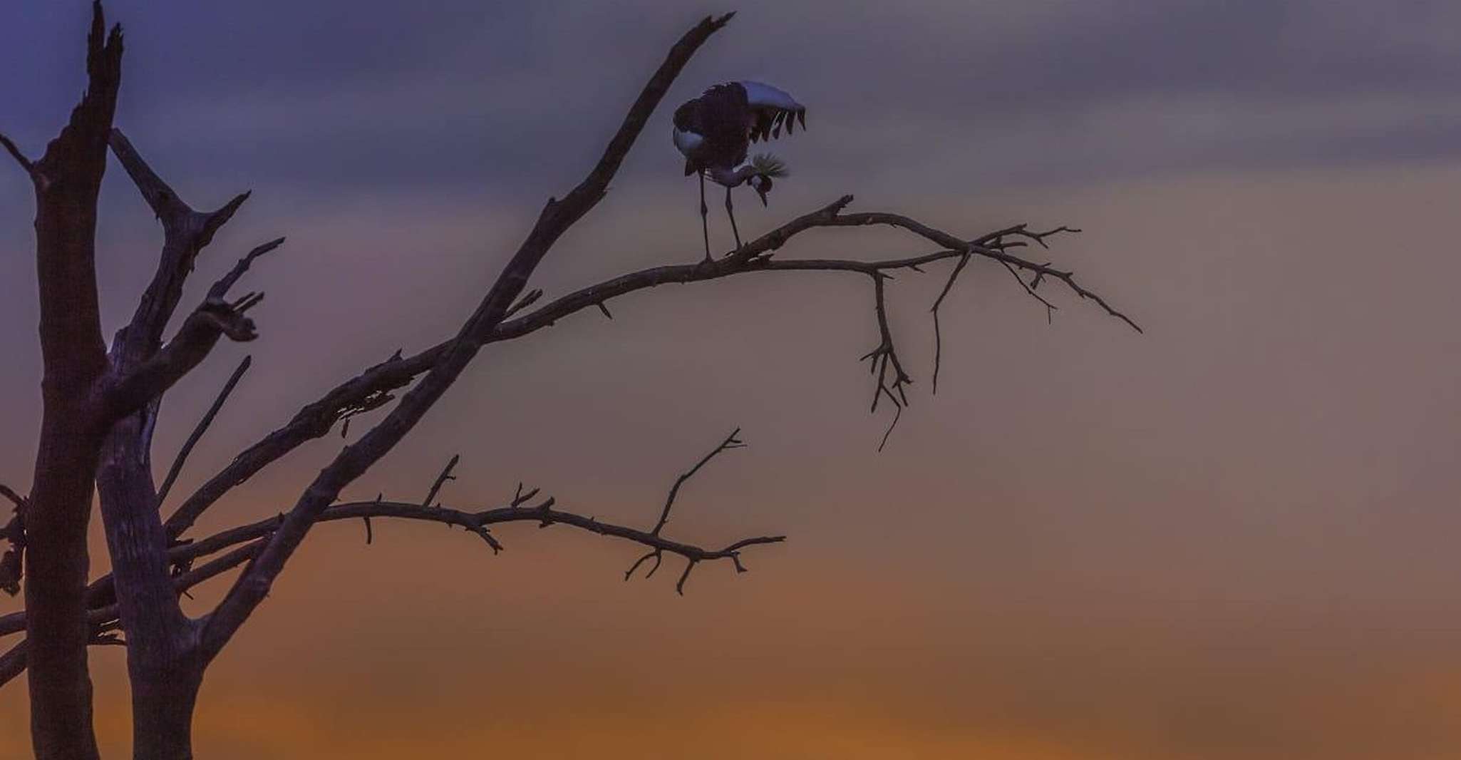 2-Day Lake Nakuru National Park Trip - Housity