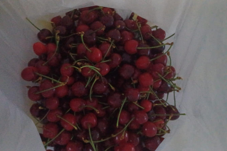 Berat: Farm-to-Table Cooking Class with Local Family