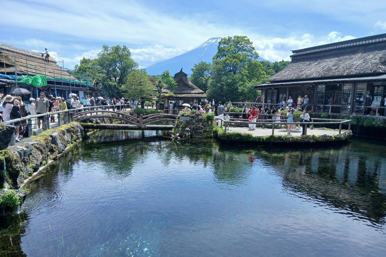 From Tokyo: Mt. Fuji Views Private Customize Itinerary Tour