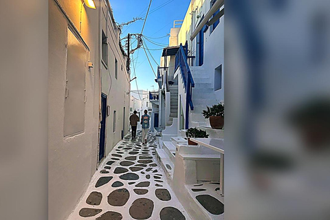 Private Tour: Customize Your Perfect Day in Mykonos