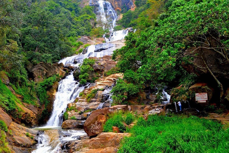 From Wadduwa & Galle: Haputale Tea Gardens Day Trip