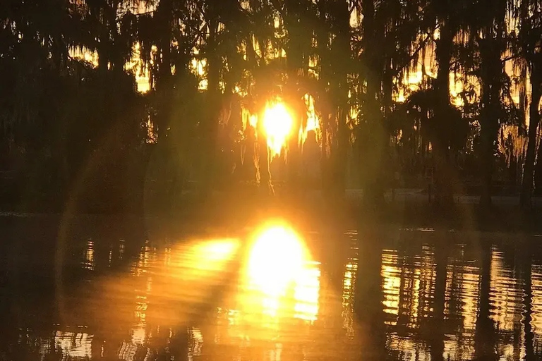 Winter Haven: Chain of Lakes Sunset Cruise with Guide Two Hour Sunset Cruise
