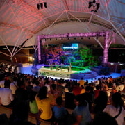 Night Safari Guided Tour with Hotel Pickup and Drop-off