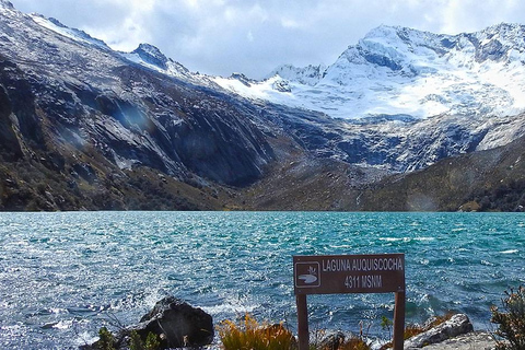 Huaraz: Nevado Pastoruri + Puyas Raymondi bos