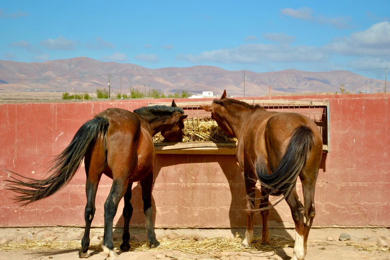 La Academia de los Animales - Visita al Refugio