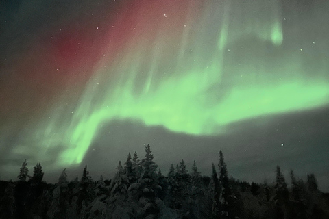 Aurora Borealis Minibus Tour – Torneträsk & Arctic Adventure