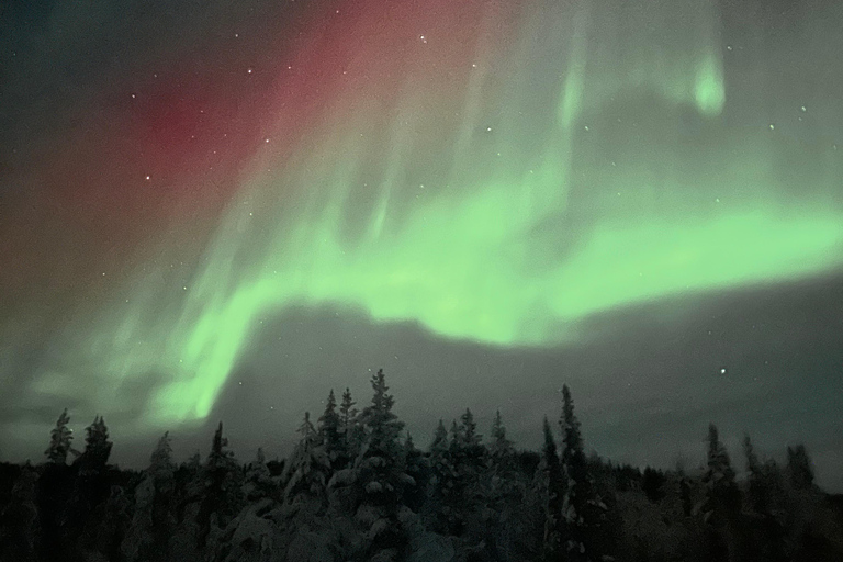Aurora Borealis Minibus Tour – Torneträsk & Arctic Adventure