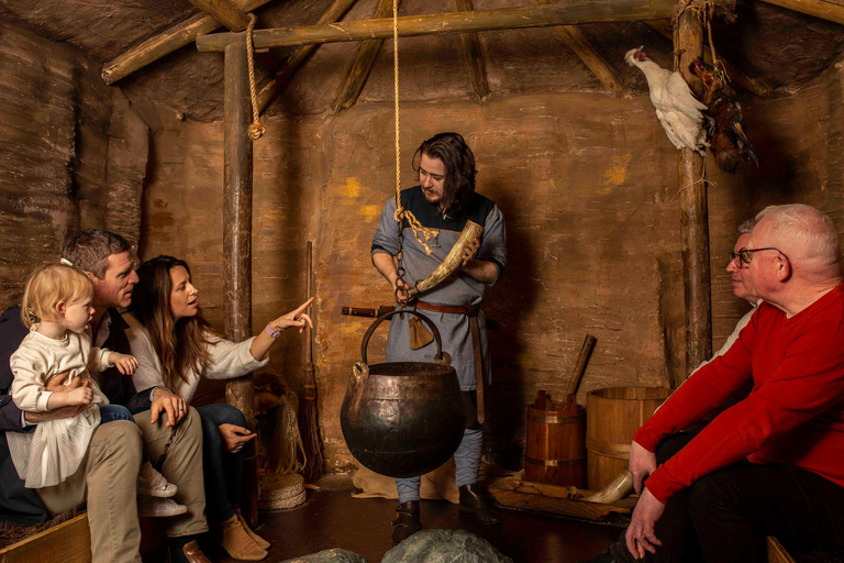 Dublin: Dublinia Viking and Medieval Museum Entry Ticket