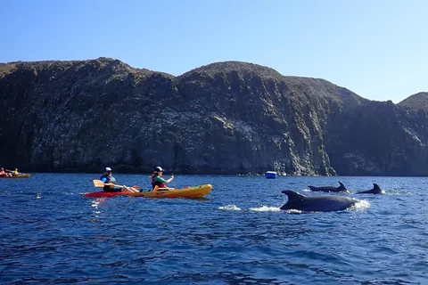 Tenerife: Kayak & Snorkel, Snacks, Photos & Sea Life Safari