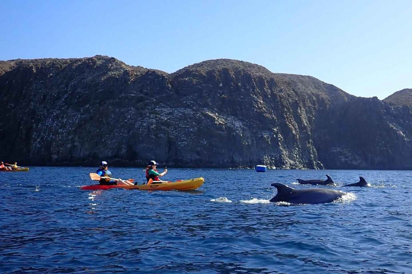 Tenerife: Kayak Sea Safari with Snorkel and Snacks