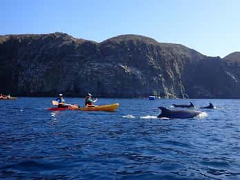 Tenerife: Kayak Sea Safari con snorkeling e snack
