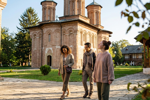 Bucharest : Dracula's Tomb and Slănic Prahova Salt Mine Tour COACH TOUR Audio guide in 24 languages