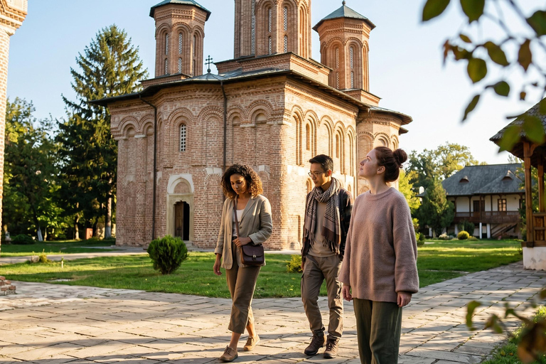 Bucharest : Dracula's Tomb and Slănic Prahova Salt Mine Tour COACH TOUR Audio guide in 24 languages