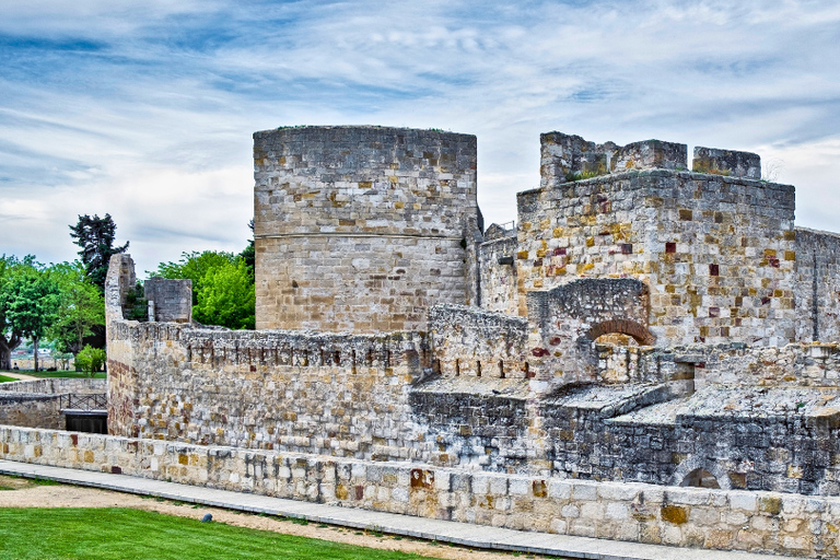 Zamora: Private Guided Tour