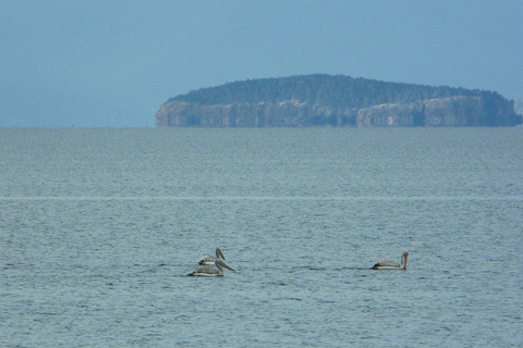 A Ilha das Cobras - Golem Grad