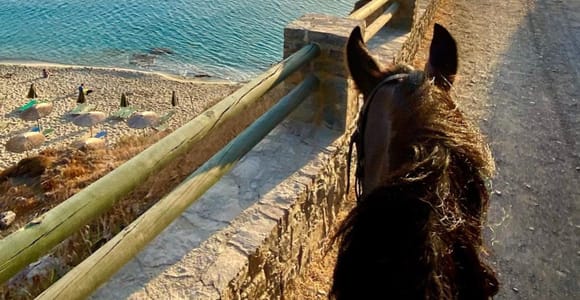 Crete: East Coast Horse Riding with Libyan Sea Views