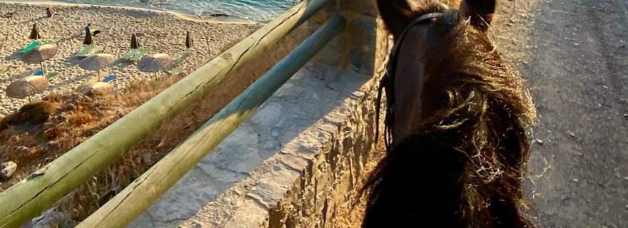 Équitation en Crète : balade sur la côte est