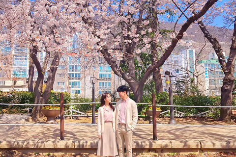 Seoul: Jinhae Cherry Blossom Tour with Busan Drop-off Option [Round Trip From Seoul] Jinhae Cherry Blossom Day Tour