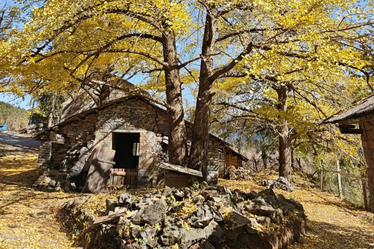 Guilin: Private Ginkgo Village and DaXu Ancient Town Tour