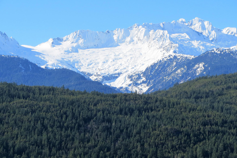 Wycieczka po wielkim mieście Vancouver