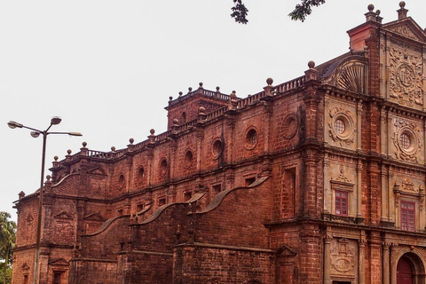 من دلهي إلى جوا: الثقافة والشمس والرمال والحياة الليلية في جواجولة شاملة كليًا