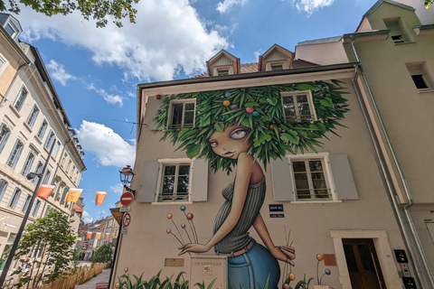 Mulhouse: Highlights Walking Tour med en lokal guide