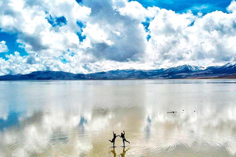 Tur till lagunen och Salinas nationalreservat i Arequipa