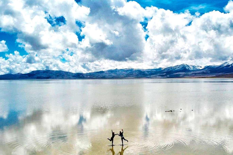 Tour to the Lagoon and Salinas National Reserve in Arequipa